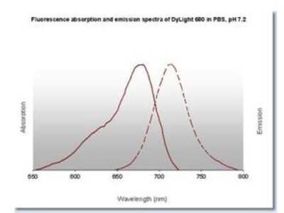Fluorophore-linked immunosorbent assay: Goat anti-Rabbit IgG Fc Secondary Antibody [DyLight 680] [NBP1-72952] - Fluorescence absorption and emission spectra of Dylight 680 in PBS, pH 7.2.